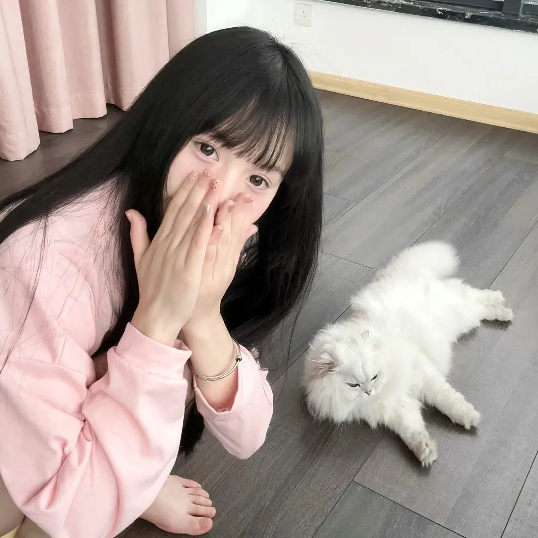 海军罪案调查处：悉尼第二季